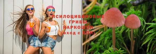 кокс Кулебаки