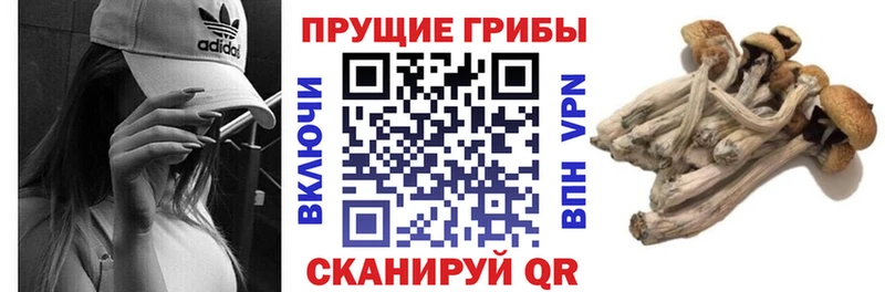 Галлюциногенные грибы MAGIC MUSHROOMS  Купить  Яхрома 